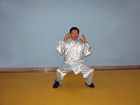 Tai Chi Chuan Mestre Peng